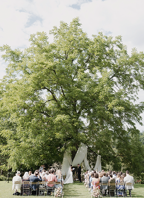 Weddings